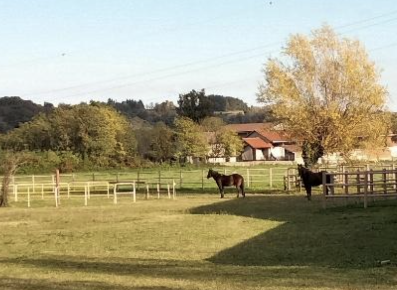 Percorso famiglie lungo