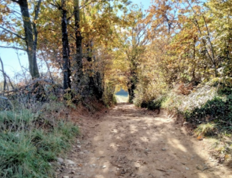 Percorso MTB intermedio Bicigrill Rivalta