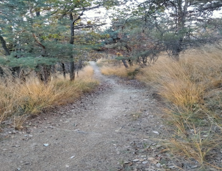 Percorso MTB lungo Bicigrill Rivalta